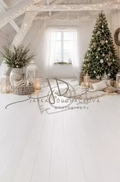 Fotopozadí - CHRISMAS SPOJENÉ 171