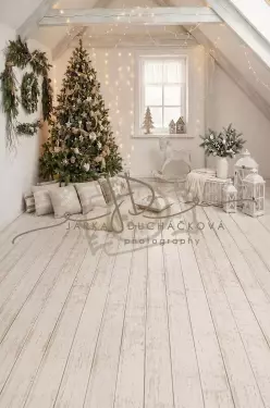Fotopozadí - CHRISMAS SPOJENÉ 173