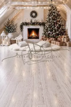 Fotopozadí - CHRISMAS SPOJENÉ 176