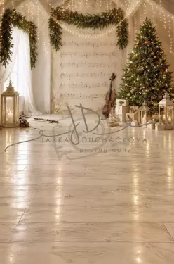 Fotopozadí - CHRISMAS SPOJENÉ 177