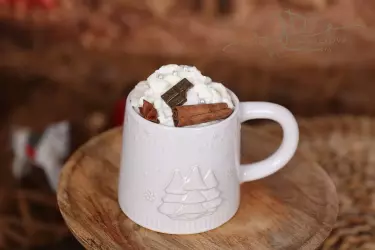 Hrneček na vánoční focení 10