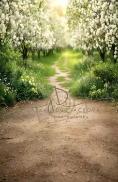 Fotopozadí SPOJENÉ - Jarní koutek