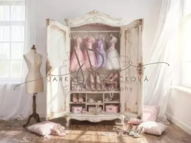 Skříň pro princezny 9