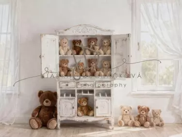 Skříň s medvídky 1
