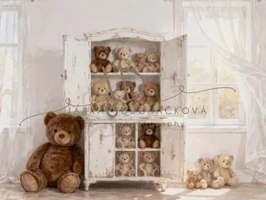 Skříň s medvídky 3