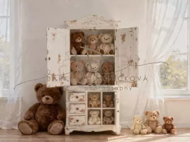 Skříň s medvídky 4