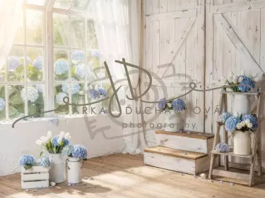 Stodola s hortenziemi 12