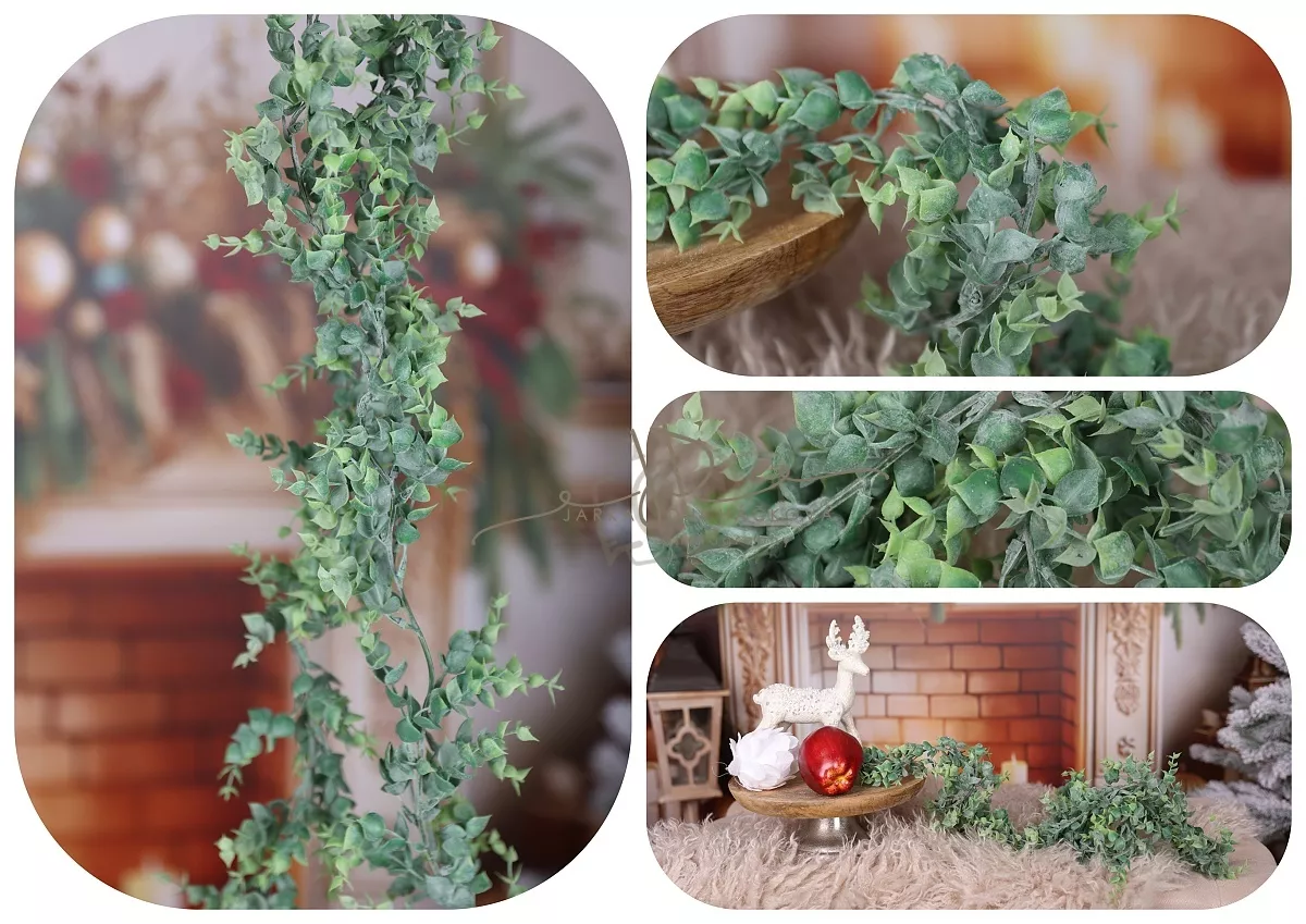 kliknutít zobrazíte maximální velikost obrázku