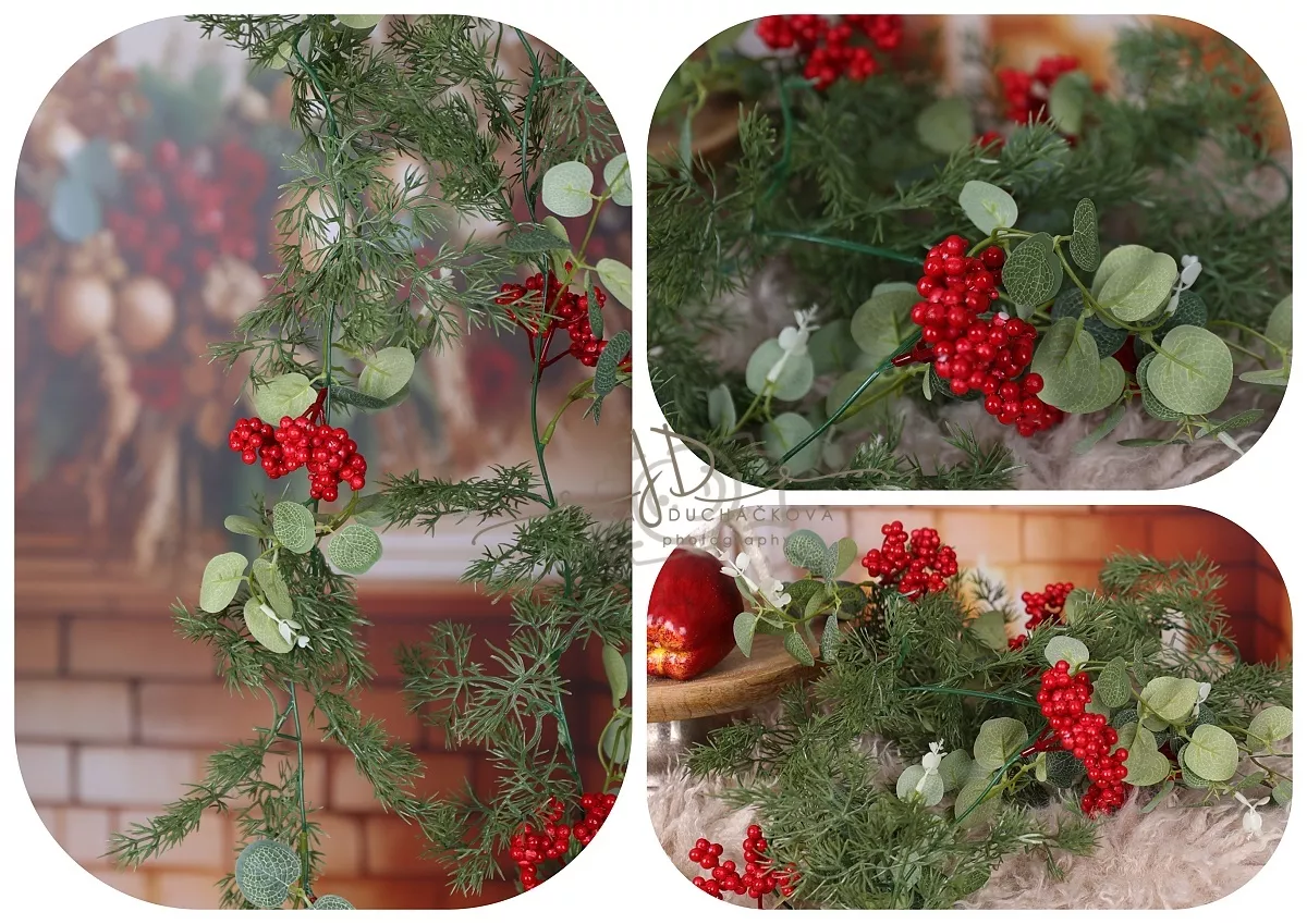 kliknutít zobrazíte maximální velikost obrázku