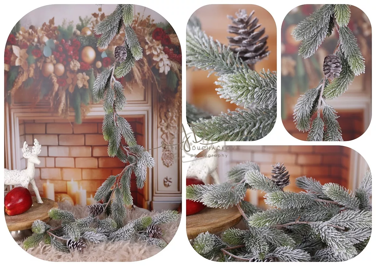 kliknutít zobrazíte maximální velikost obrázku