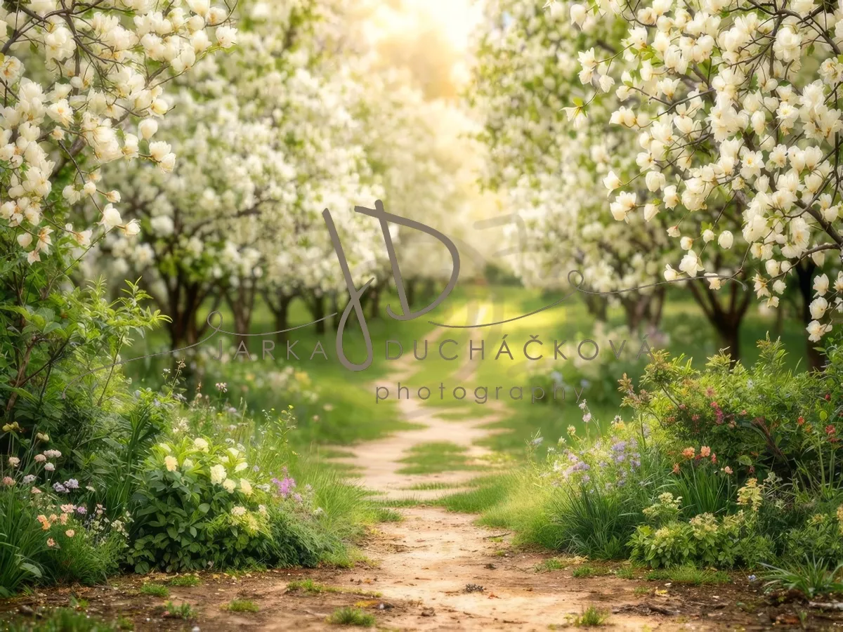 kliknutít zobrazíte maximální velikost obrázku