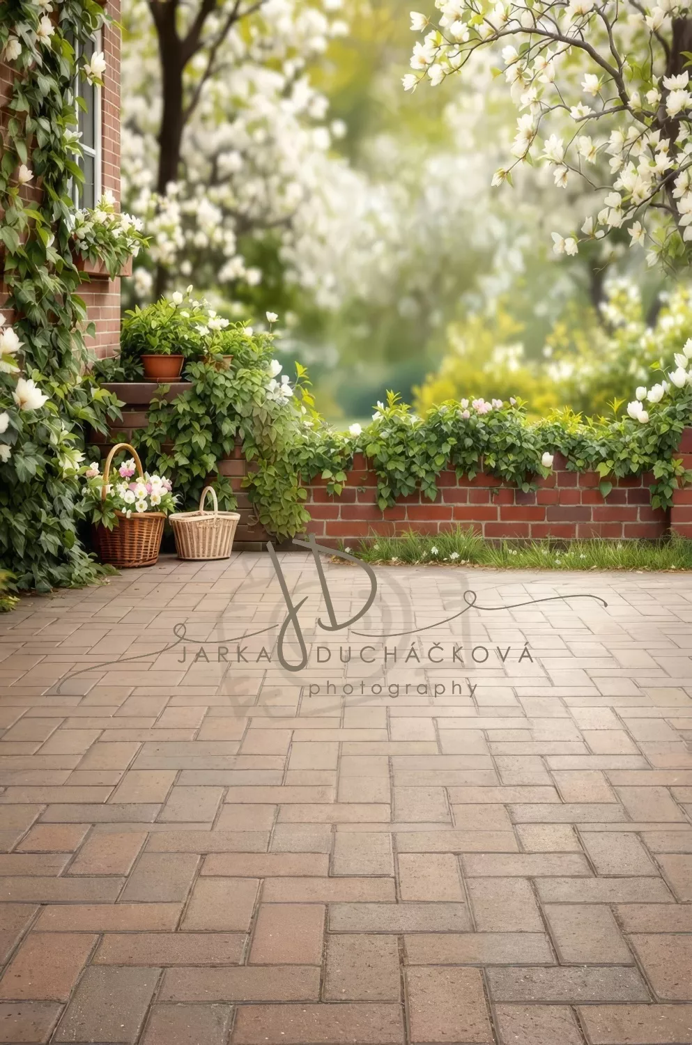 kliknutít zobrazíte maximální velikost obrázku