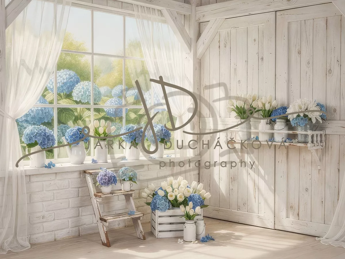 kliknutít zobrazíte maximální velikost obrázku