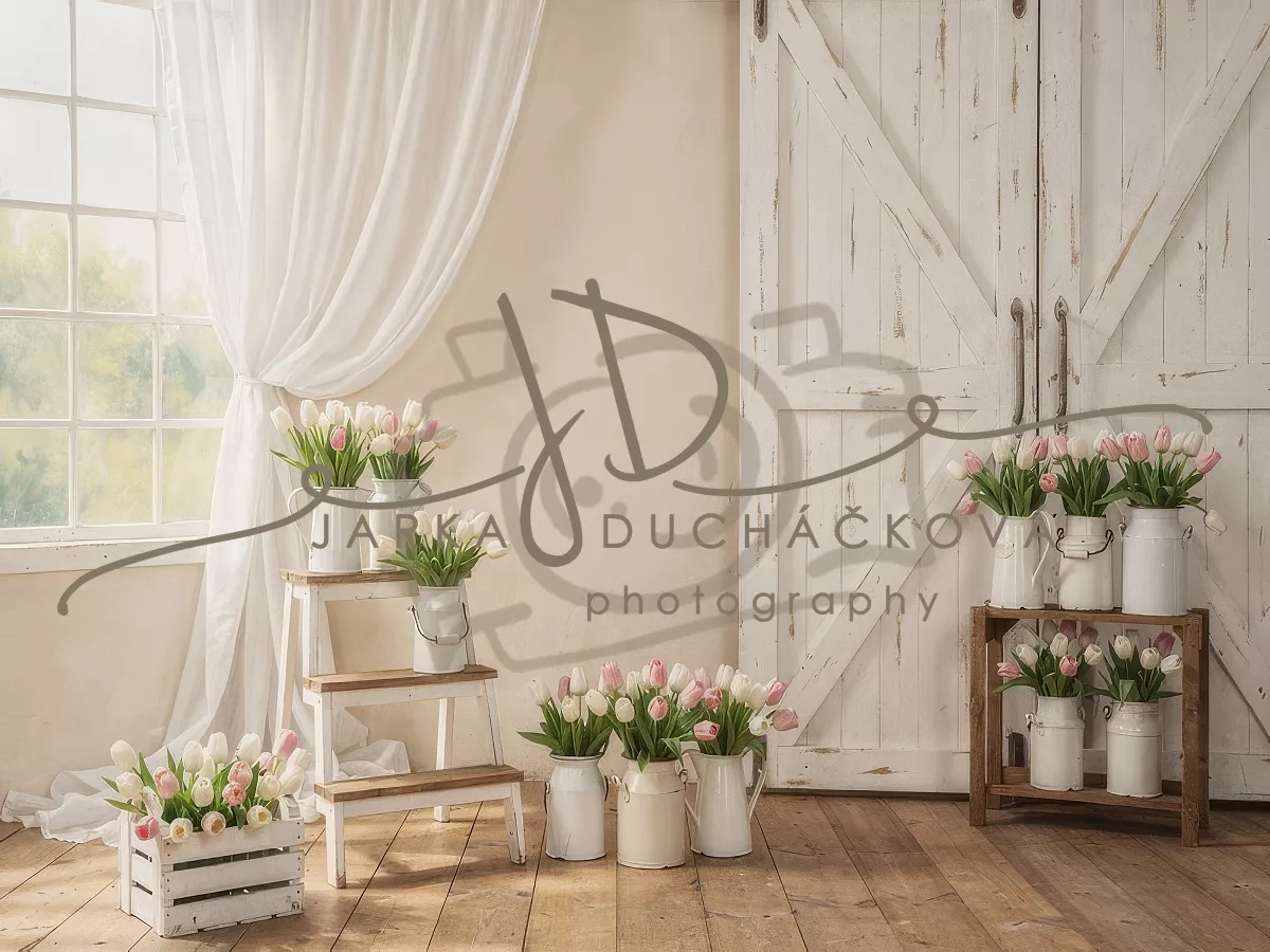 kliknutít zobrazíte maximální velikost obrázku