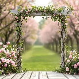 Jarní brána v přírodě