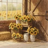 Stodoly / pokoje se slunečnicemi